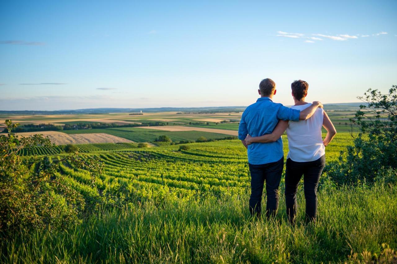 Weingut Breitenfelder Retz Esterno foto