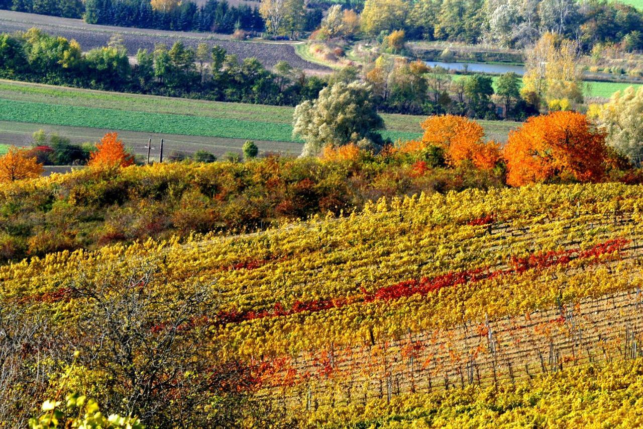 Hotel Weingut Breitenfelder Retz Esterno foto