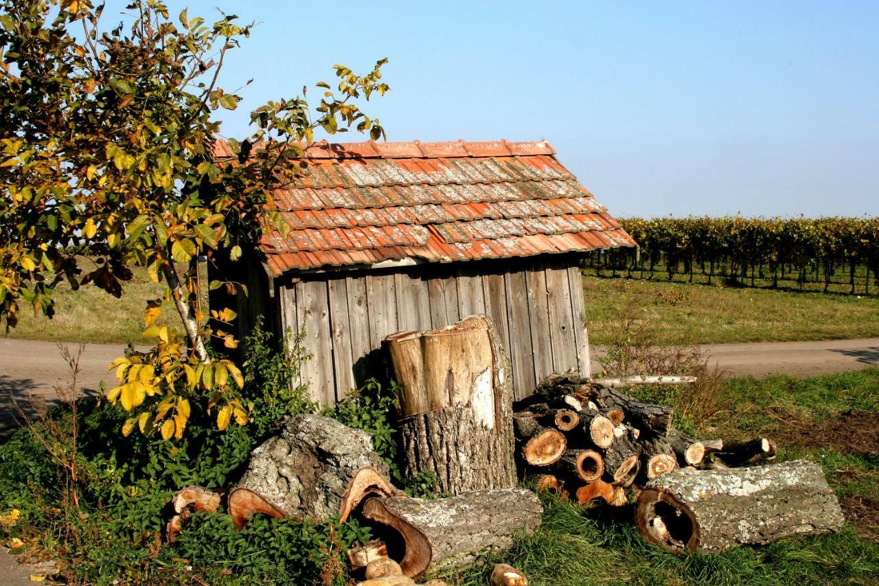 Weingut Breitenfelder Retz Esterno foto