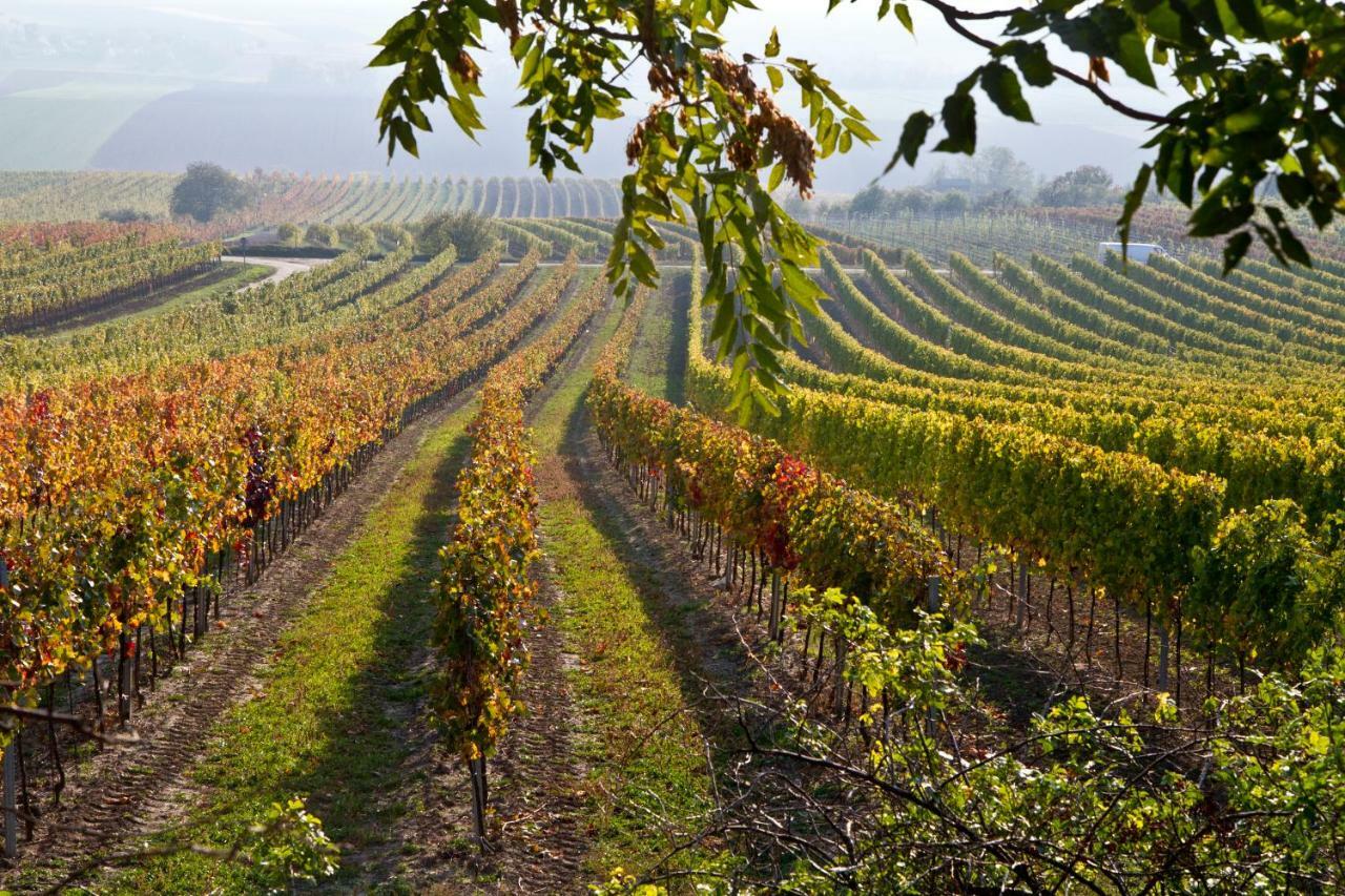 Hotel Weingut Breitenfelder Retz Esterno foto