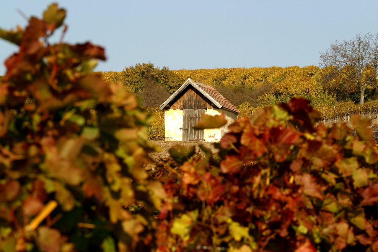 Hotel Weingut Breitenfelder Retz Esterno foto